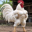 Pachai Ayam