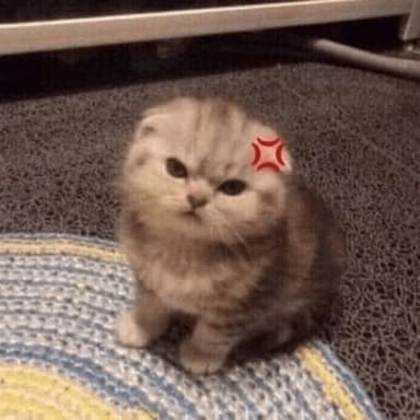 H.