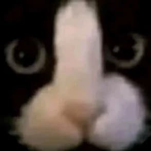 ßσyy.