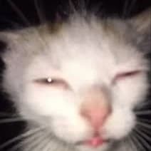 Mow