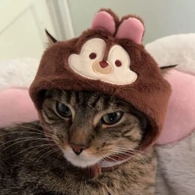 好きだ♡