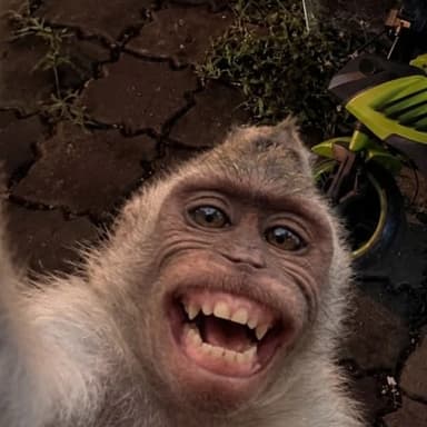 ANAKSOLEH